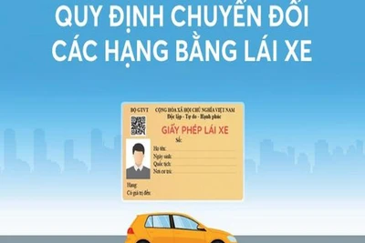 Infographics: Quy định chuyển đổi các hạng bằng lái xe từ 1/1/2025