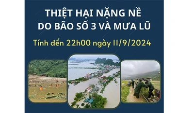 [Infographic] Thiệt hại nặng nề do bão số 3 và mưa lũ tính đến 22h00 ngày 11/9