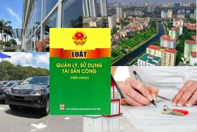 Quy định mới về xử lý tài sản công