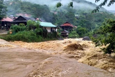 Vùng núi và trung du Bắc Bộ khẩn trương ứng phó mưa lớn