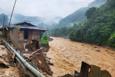 Nguy cơ lũ quét, sạt lở tại 7 tỉnh, thành phố ở vùng núi Bắc Bộ