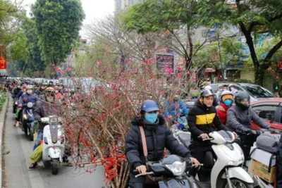 Tăng cường bảo đảm trật tự, an toàn giao thông dịp Tết Nguyên đán Ất Tỵ và Lễ hội xuân 2025