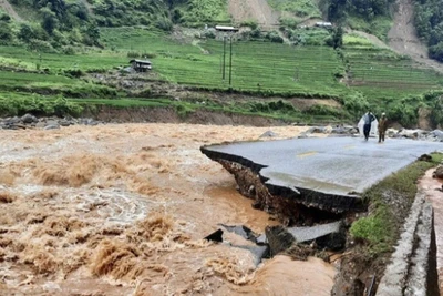 Chiều tối và đêm nay, cảnh báo mưa lớn gây lũ quét, sạt lở ở vùng núi phía Bắc