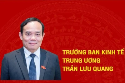 [Infographic] Tiểu sử tân Trưởng Ban Kinh tế Trung ương Trần Lưu Quang