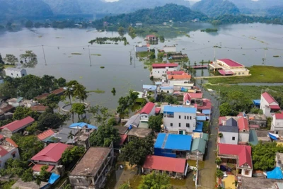 Miễn, giảm, gia hạn nộp thuế cho người nộp thuế bị thiệt hại bởi thiên tai