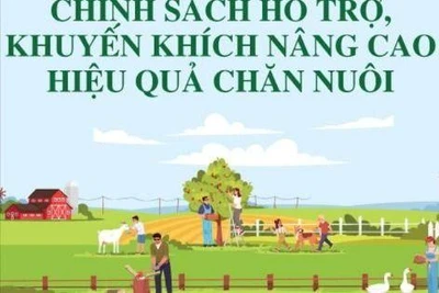 Infographics: Chính sách hỗ trợ, khuyến khích nâng cao hiệu quả chăn nuôi