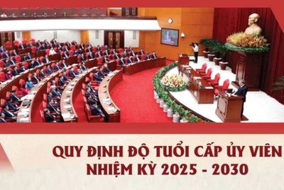 [Infographic]: Quy định độ tuổi cấp ủy viên nhiệm kỳ 2025 - 2030