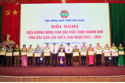 Bắc Kạn: Biểu dương 60 hộ nông dân sản xuất, kinh doanh giỏi