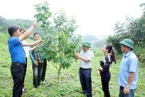 Khoa học, công nghệ và đổi mới sáng tạo là động lực phát triển