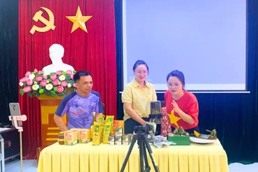 Tập huấn nâng cao năng lực cho cán bộ chủ chốt tổ hợp tác, hợp tác xã