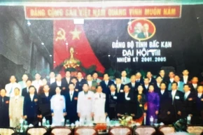 Đại hội VIII