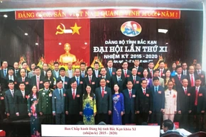 Đại hội XI