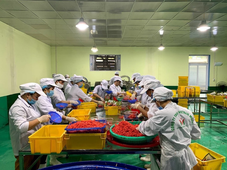 Doanh nhân Bắc Kạn đưa nhiều sản phẩm nông sản bản địa vươn xa ra thị trường quốc tế. 8a1b680696853ddb6494-803.jpg