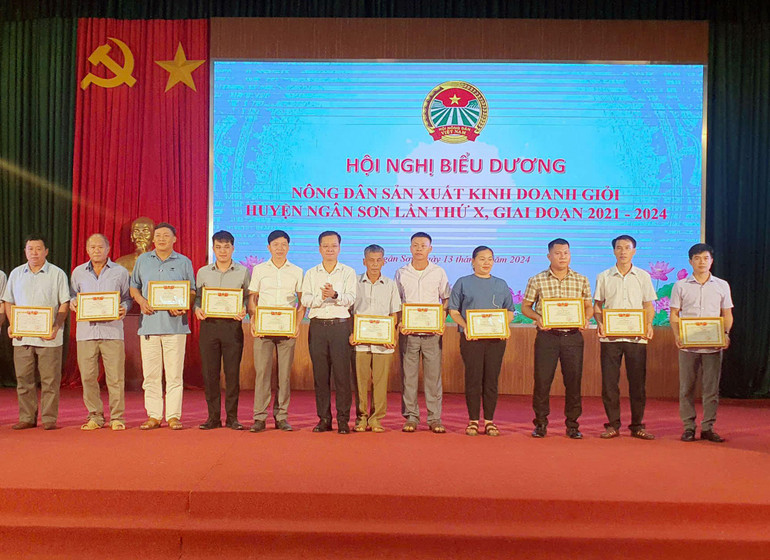 Các hộ nông dân sản xuất kinh doanh giỏi được nhận Giấy khen của UBND huyện. 4123b140626ec6309f7f.jpg