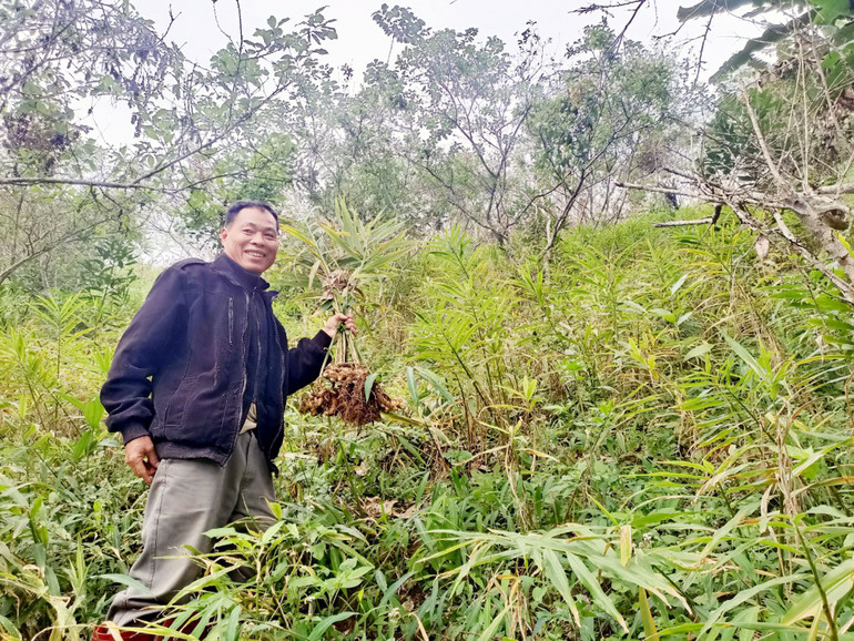 Người dân vùng dự án ở huyện Pác Nặm đã biết thích ứng với BĐKH trong canh tác nông nghiệp. gung.jpg