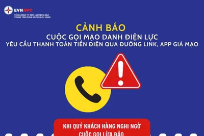 Cảnh báo mạo danh nhân viên Điện lực liên hệ khách hàng yêu cầu thanh toán tiền điện vào link/APP giả mạo