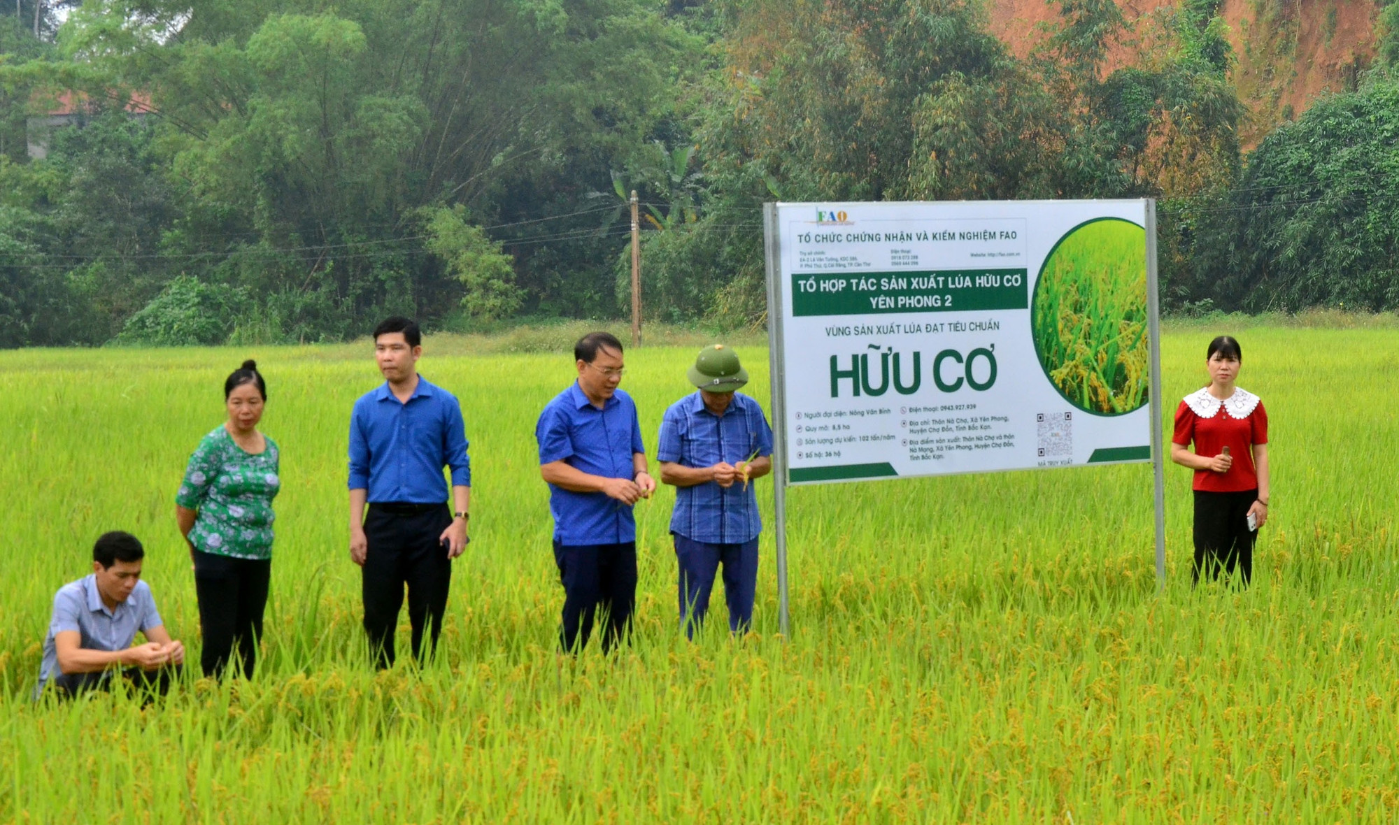 Chị Phạm Thị Thu (áo đỏ) trong một buổi tổ chức hội thảo lúa hữu cơ tại xã Yên Phong (huyện Chợ Đồn). chi-5.jpg