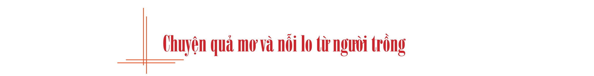 tit-phu-1-bai-2.jpg