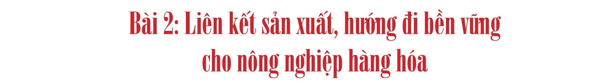tit-bai-2.jpg