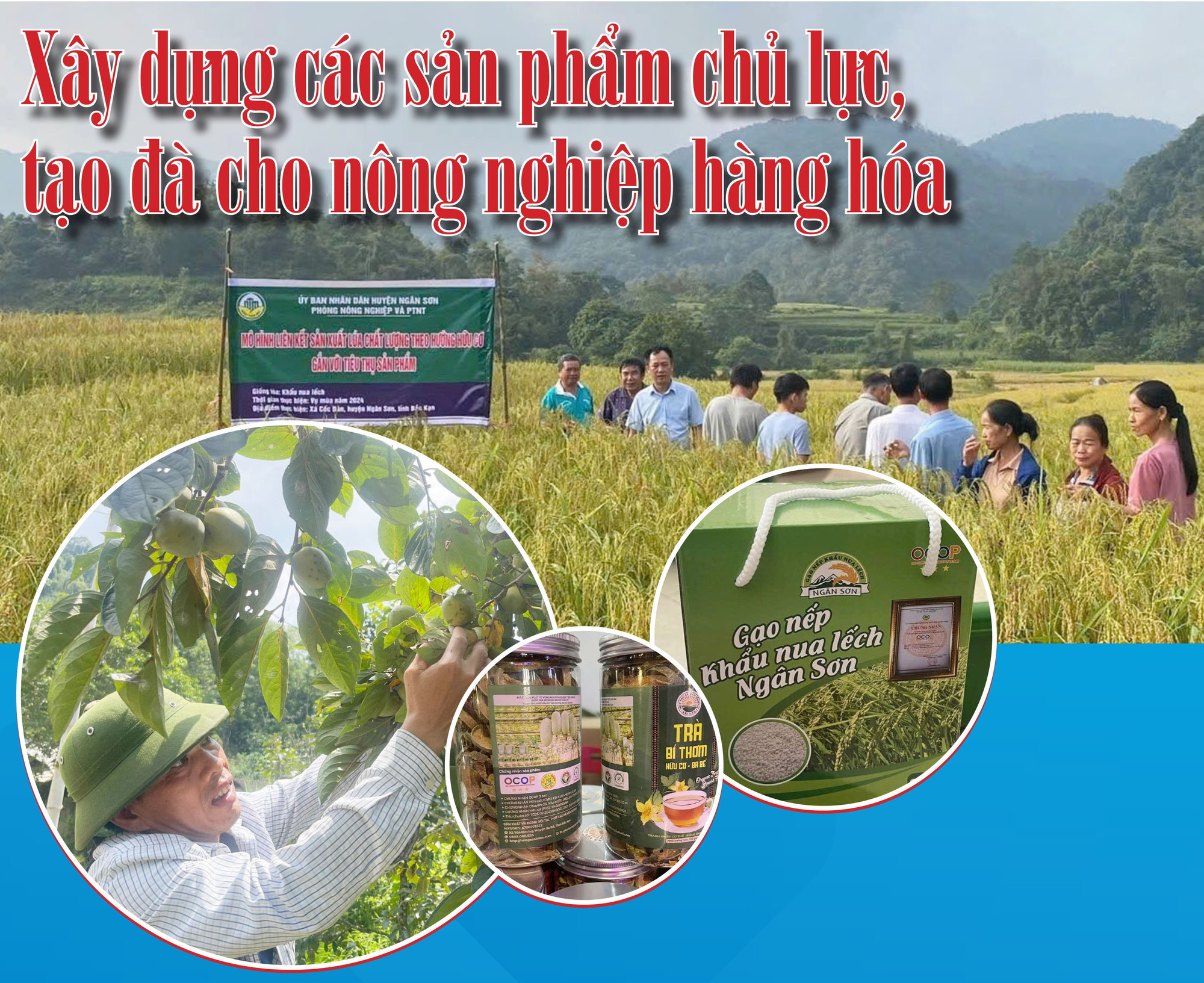 ចំណងជើង.jpg