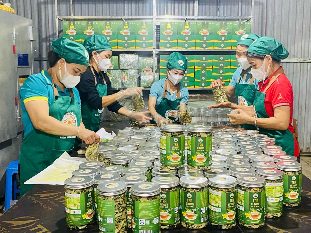 Sản phẩm trà bí sấy khô của HTX Yến Dương. yen-duong.jpg