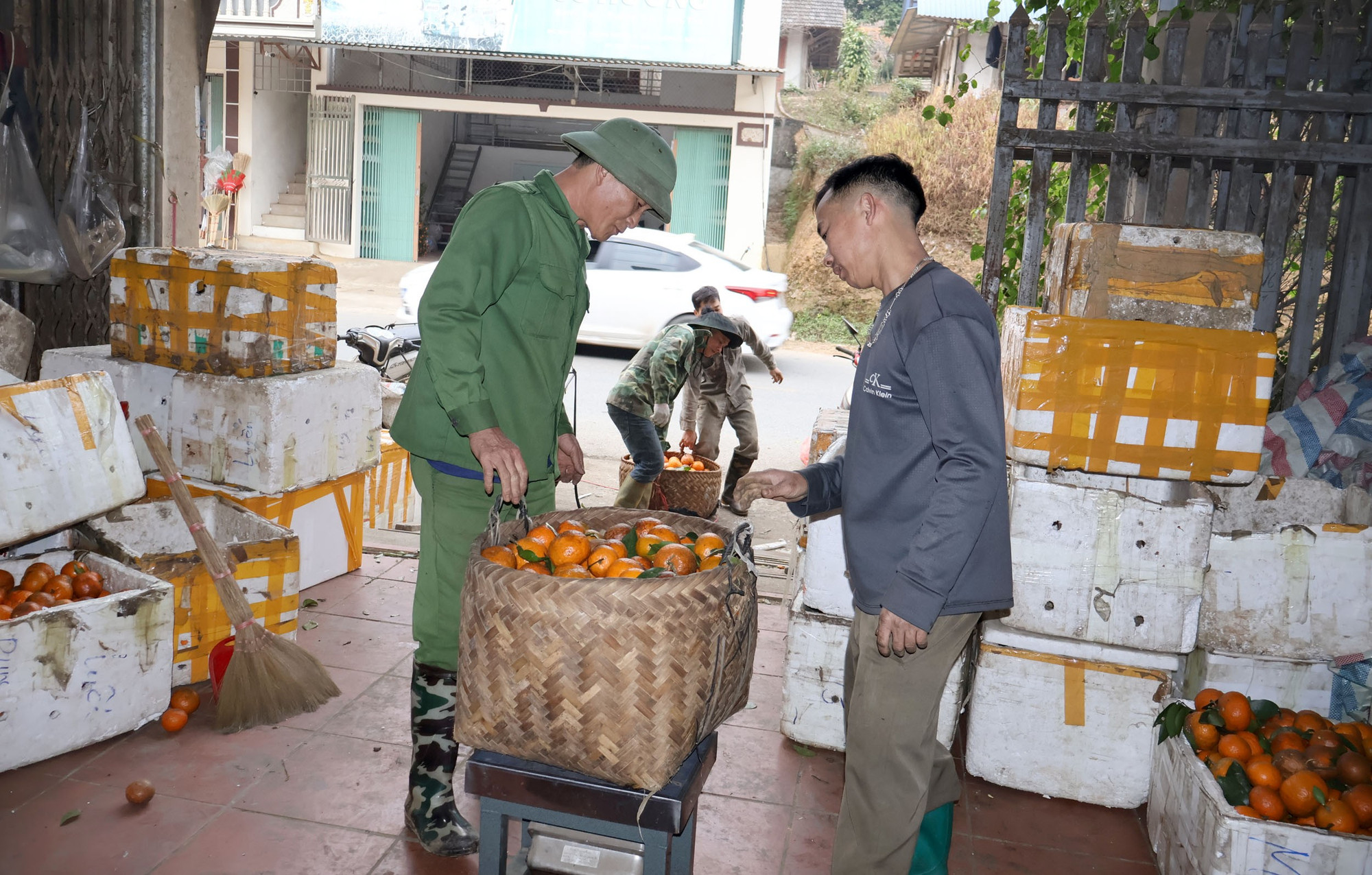 Sản lượng cam, quýt Bắc Kạn mỗi năm lên đến gần 25.000 tấn nhưng đầu ra vẫn còn bấp bênh, chưa có sự liên kết từ các doanh nghiệp. quy-bk.jpg