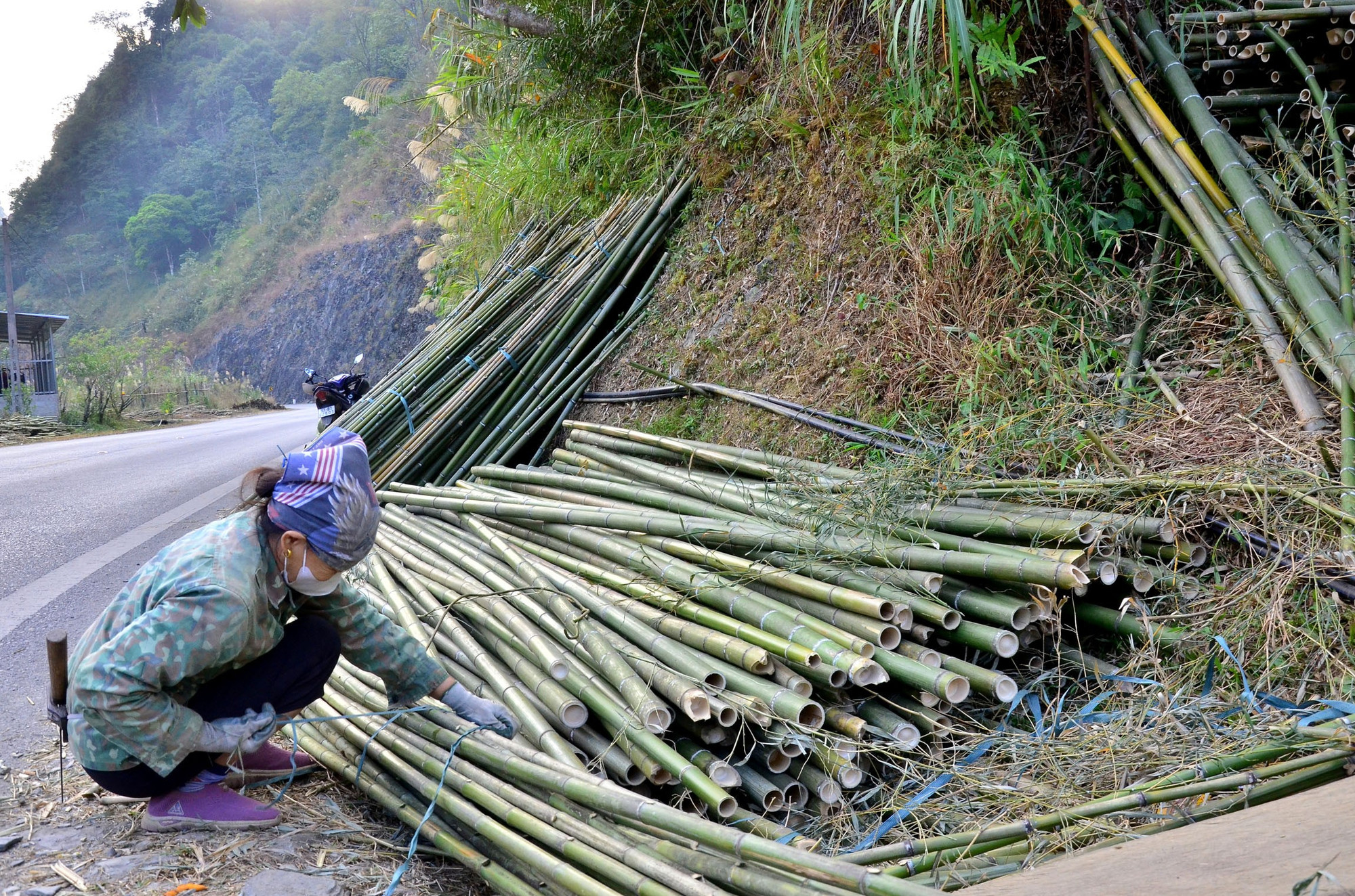 Buộc trúc chắc chắn để vận chuyển đi xa. truc-3.jpg