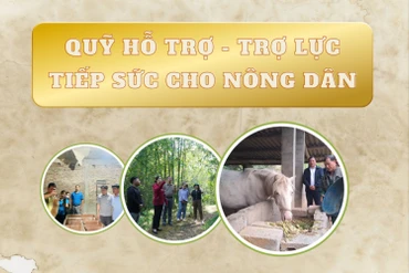 Trợ lực tiếp sức cho nông dân - Kỳ 1: Tiếp sức đúng lúc – Nông dân vững bước