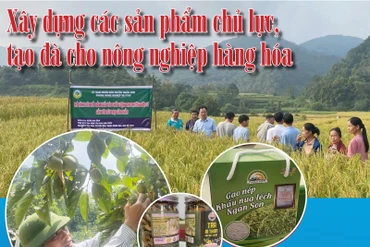 Xây dựng các sản phẩm chủ lực, tạo đà cho nông nghiệp hàng hóa- Kỳ 1