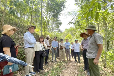 Phó Chủ tịch IFAD thăm và làm việc tại tỉnh Bắc Kạn