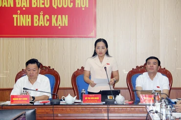 Đại biểu Hồ Thị Kim Ngân nêu câu hỏi chất vấn về giải pháp tháo gỡ khó khăn sau sắp xếp đơn vị hành chính