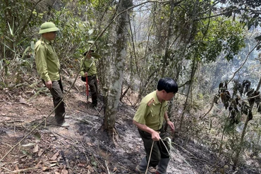 Căng mình chống "giặc lửa" trên đèo Áng Toòng