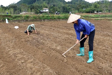 Chủ động các phương án phòng, chống hạn