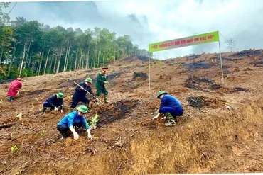  Chợ Đồn phát động “Tết trồng cây đời đời nhớ ơn Bác Hồ” Xuân Ất Tỵ 2025