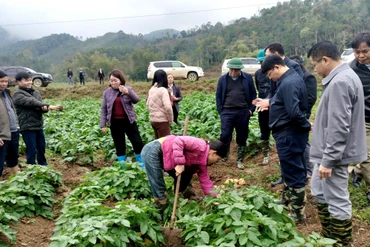 Đồng chí Nông Quang Nhất, Phó Chủ tịch UBND tỉnh kiểm tra tình hình sản xuất tại huyện Na Rì