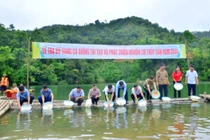 Thả cá giống bổ sung, tái tạo nguồn lợi thủy sản tại hồ Khuổi Khe 