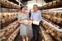 Rà soát chặt chẽ các dự án phát triển sản xuất tránh để xảy ra sai phạm