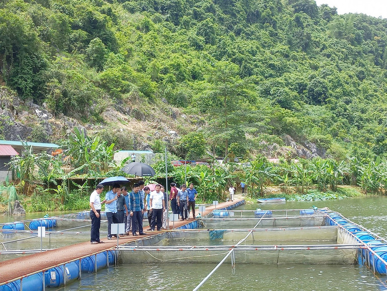 Tận dụng nguồn nước mặt tự nhiên, người dân huyện Na Rì phát triển nuôi trồng thủy sản. t13-tan-dung-nguon-nuoc-mat-tu-nhien-nguoi-dan-huyen-na-ri-phat-trien-nuoi-trong-thuy-san.jpg