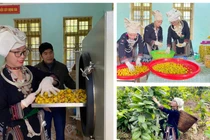 Các sản phẩm OCOP góp phần tạo sức hút cho lễ hội đầu xuân