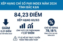 Nhìn từ chỉ số PAR INDEX 2024 của Bắc Kạn