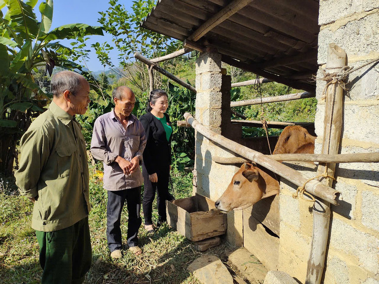 Kiểm tra mô hình sinh kế của gia đình người khuyết tật có hoàn cảnh khó khăn tại huyện Ngân Sơn. 24a2.jpg