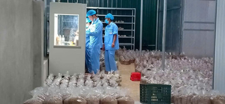HTX đẩy mạnh ứng dụng công nghệ số trong sản xuất sản phẩm nông nghiệp. img-20250508-090401.jpg