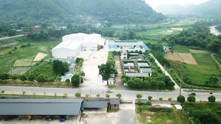Một góc KCN Thanh Bình. z5857460870432_38a11cde2ba6b8608a31f03d0f1a420a.jpg