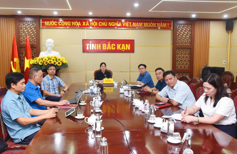 Les délégués participant à la conférence en ligne au pont de la province de Bac Kan. z6640966316424-deae7b10ea3a473092cf9ad0454c460c.jpg