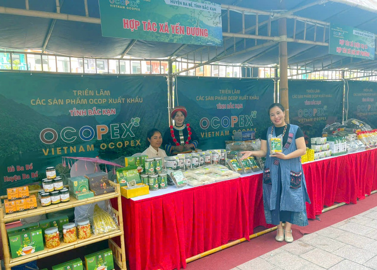 Khu vực gian hàng của tỉnh Bắc Kạn tham gia Triển lãm các sản phẩm OCOP xuất khẩu - VIETNAM OCOPEX. 9682616.jpg