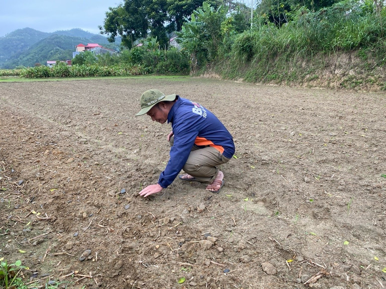 Ông Phùng Tiến Quảng, Trưởng thôn Bản Luông, xã Mỹ Thanh (Bạch Thông) vận động Nhân dân chuyển đổi cơ cấu cây trồng với mô hình trồng khoai tây liên kết, cho hiệu quả kinh tế cao. 3988.jpg