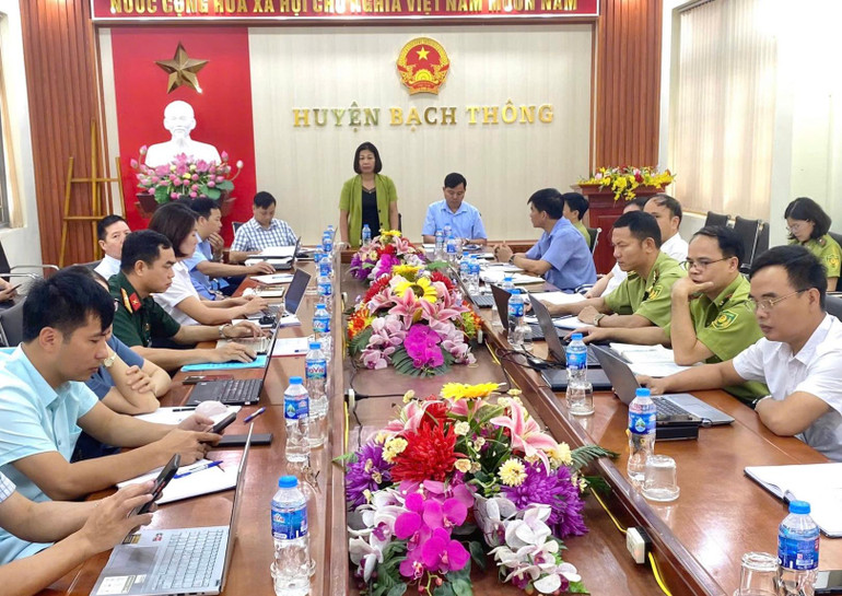 Đồng chí Đỗ Thị Hiền, Bí thư Huyện ủy Bạch Thông phát biểu chỉ đạo. IMG_8535.jpeg