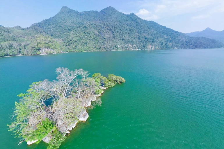 Phát huy tinh thần đoàn kết, xây dựng Ba Bể xanh