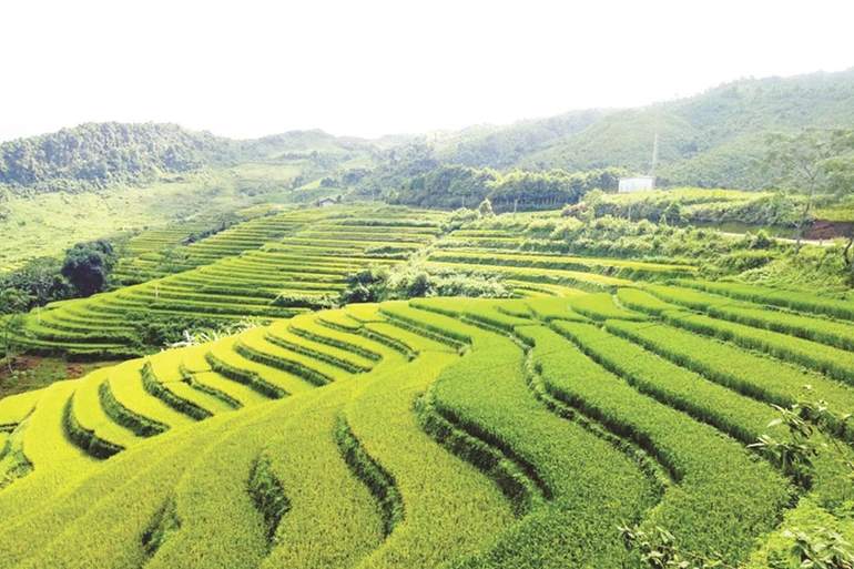 Pác Nặm vững bước trên hành trình phát triển