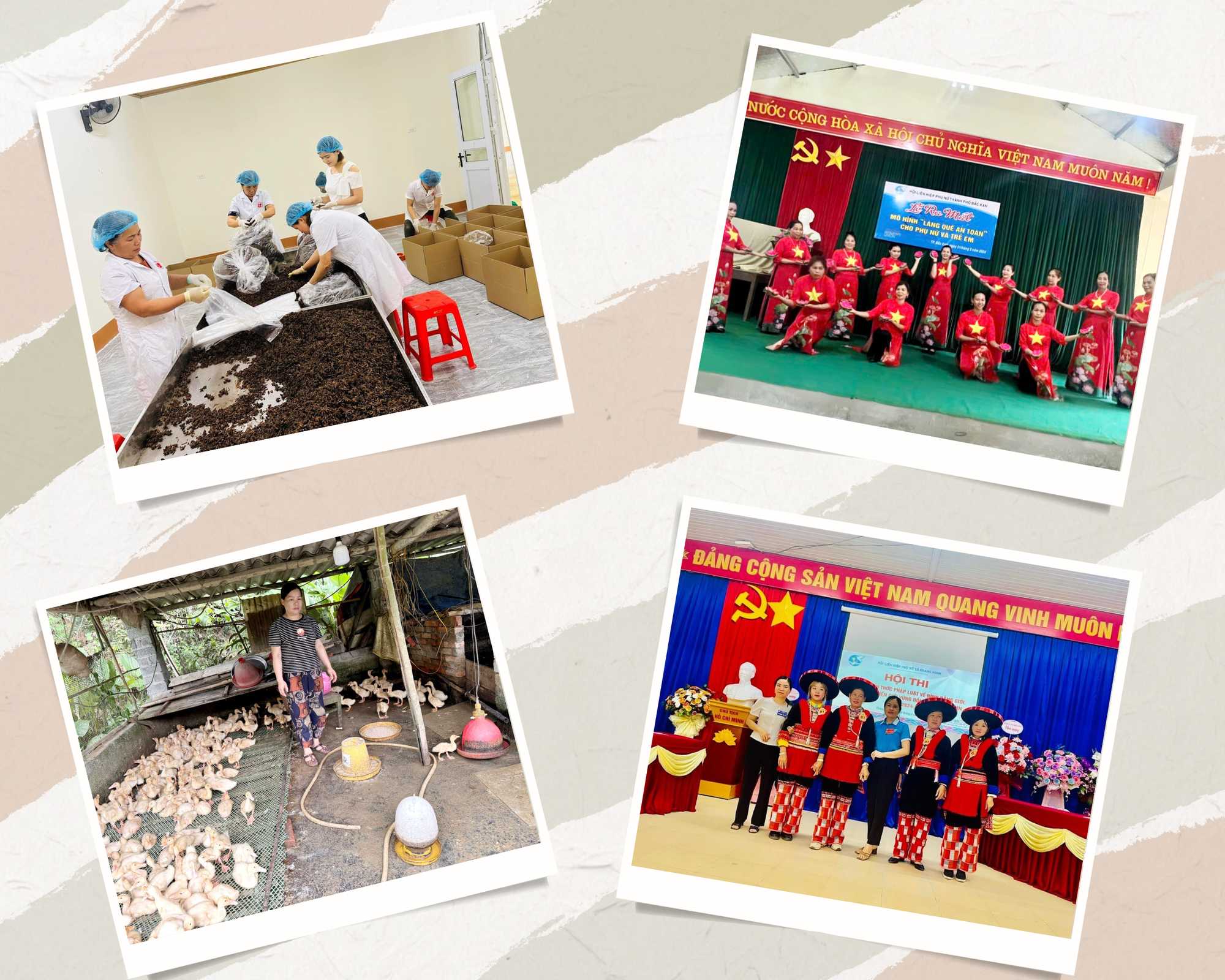 Phụ nữ Bắc Kạn ngày càng khẳng định được vị thế, vai trò của mình trong gia đình và xã hội. mau-trung-tinh-bo-anh-ghep-chu-de-ban-be-hoa-tiet-ve-tay-tranh-ghep-anh-8127.png